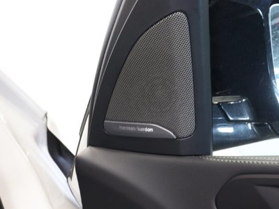 2023 BMW X5 缩略图 60