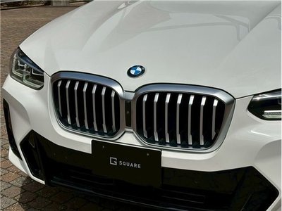 2024 BMW X3 照片 10