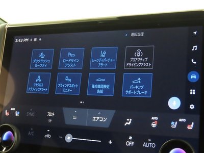TOYOTA ALPHARD - 8