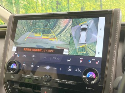 2024 TOYOTA ALPHARD 照片 7