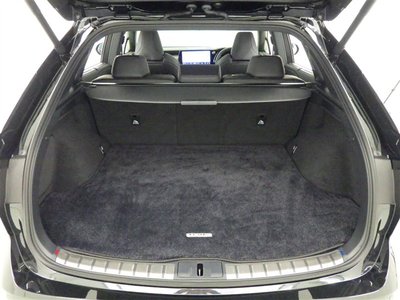 2024 Lexus RX — миниатюра 14