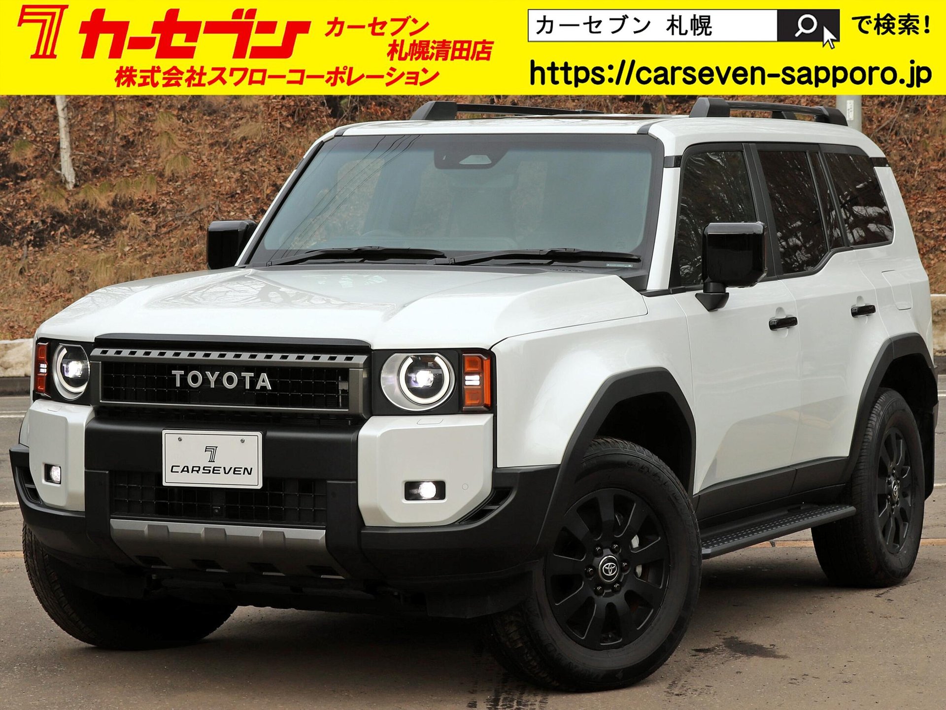 TOYOTA LAND CRUISER 250 - View 1