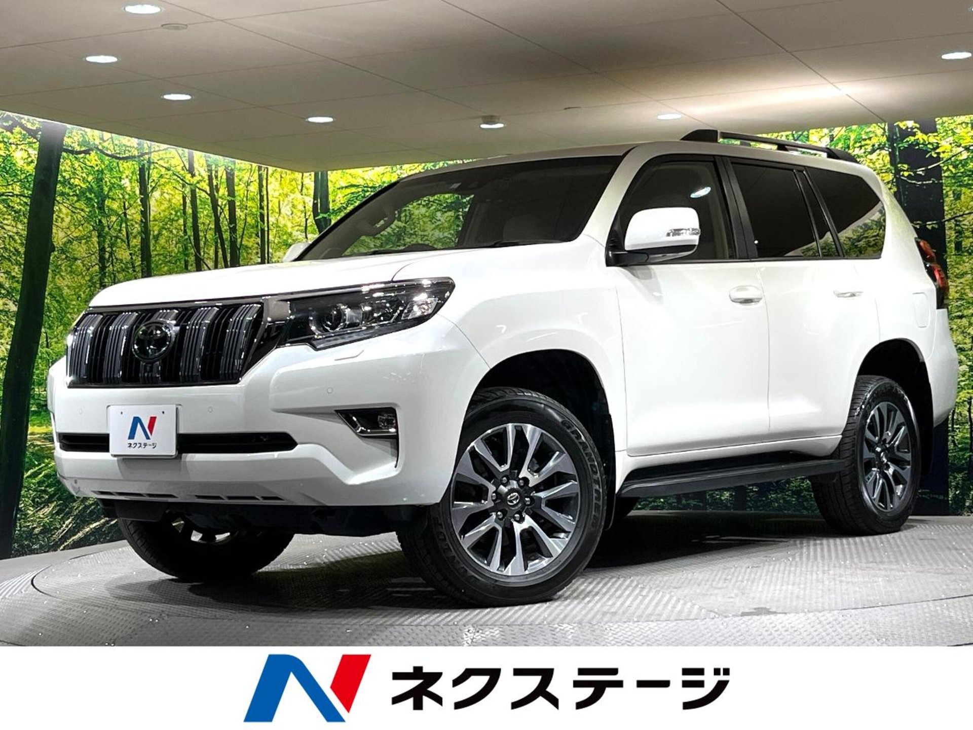 TOYOTA LAND CRUISER PRADO - View 1