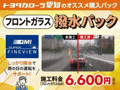 Thumbnail 29