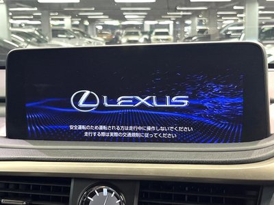 LEXUS RX - 4