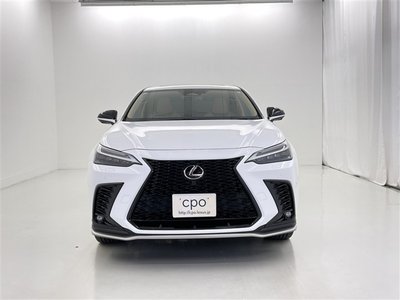 2025 Lexus NX — миниатюра 16