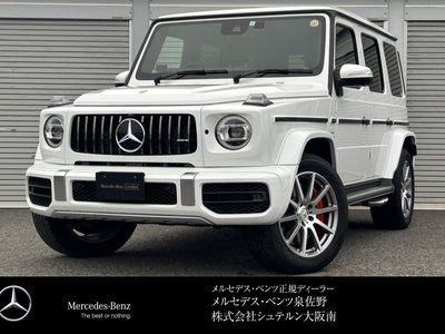 MERCEDES-BENZ G-CLASS AMG - 1