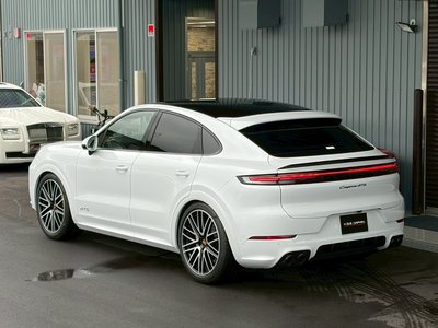 2025 Porsche CAYENNE 缩略图 21