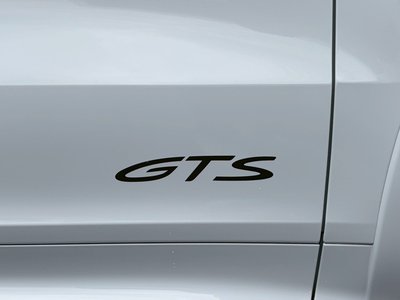2025 Porsche CAYENNE 缩略图 15