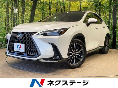 LEXUS NX - 1
