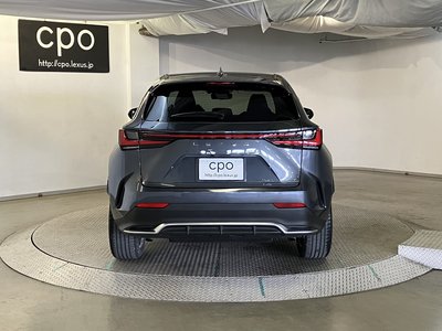 LEXUS NX - 7