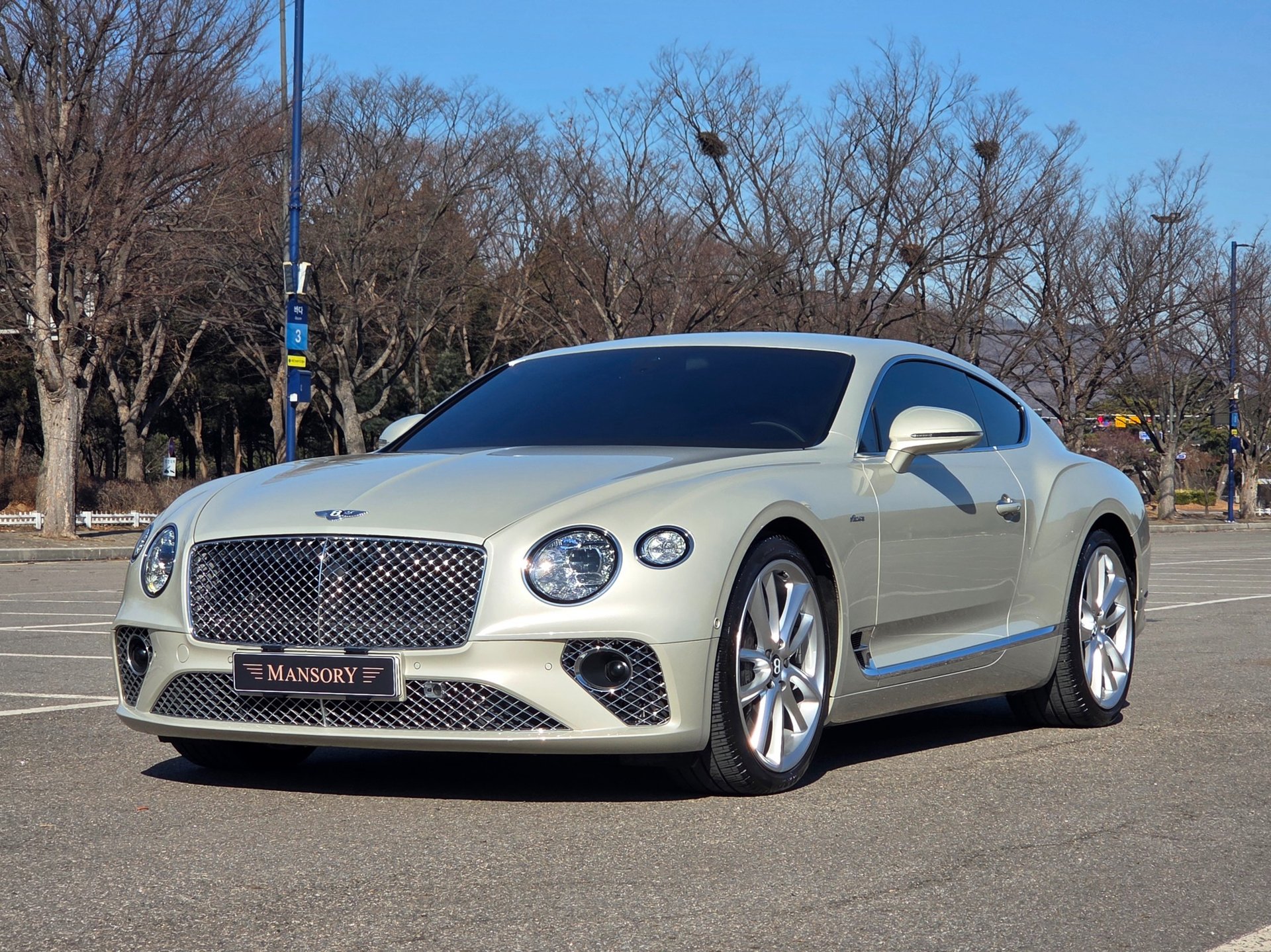 BENTLEY CONTINENTAL - View 1