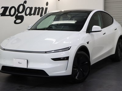 TESLA MODEL Y - 1