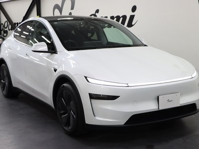 TESLA MODEL Y - 10