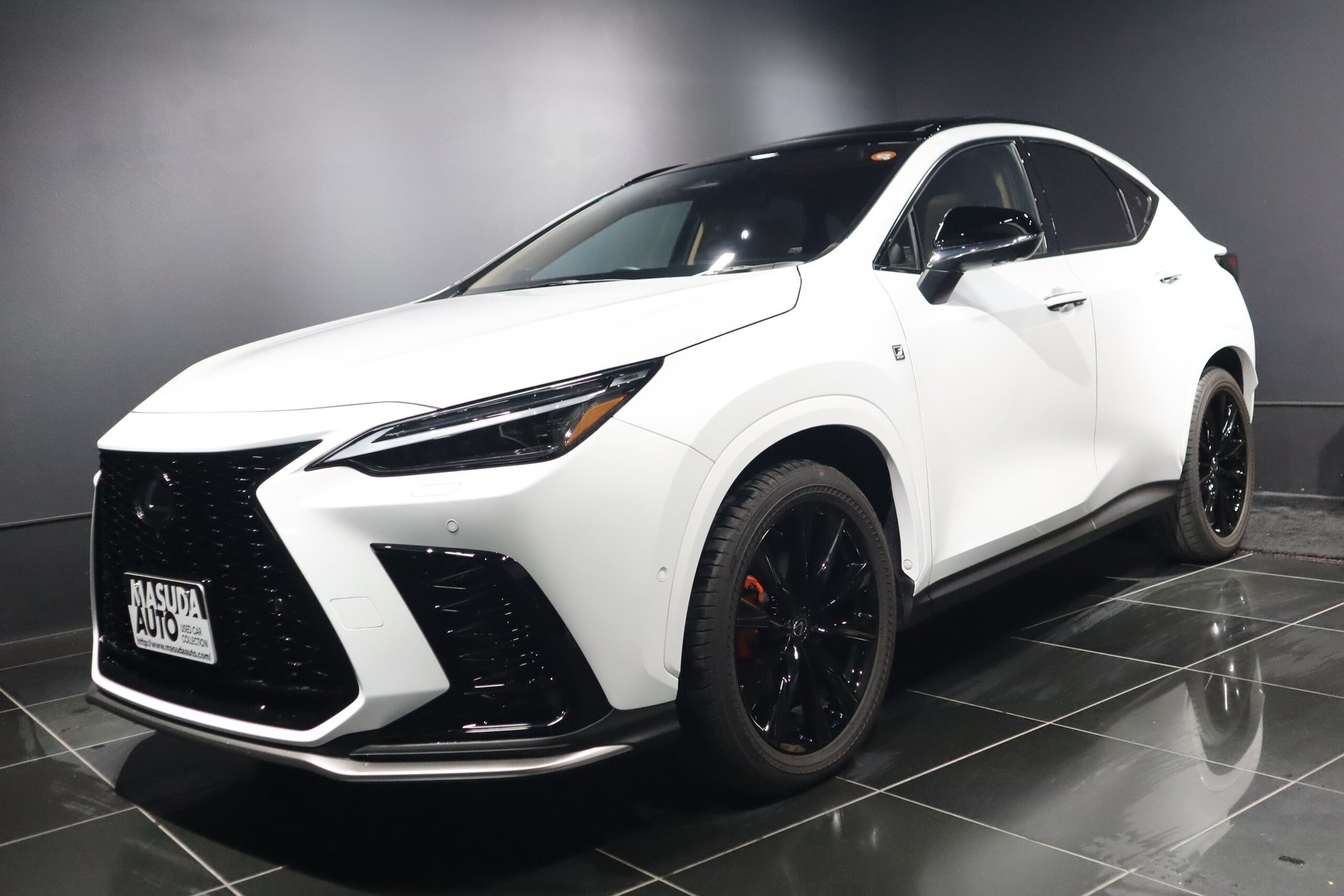 LEXUS NX - View 1
