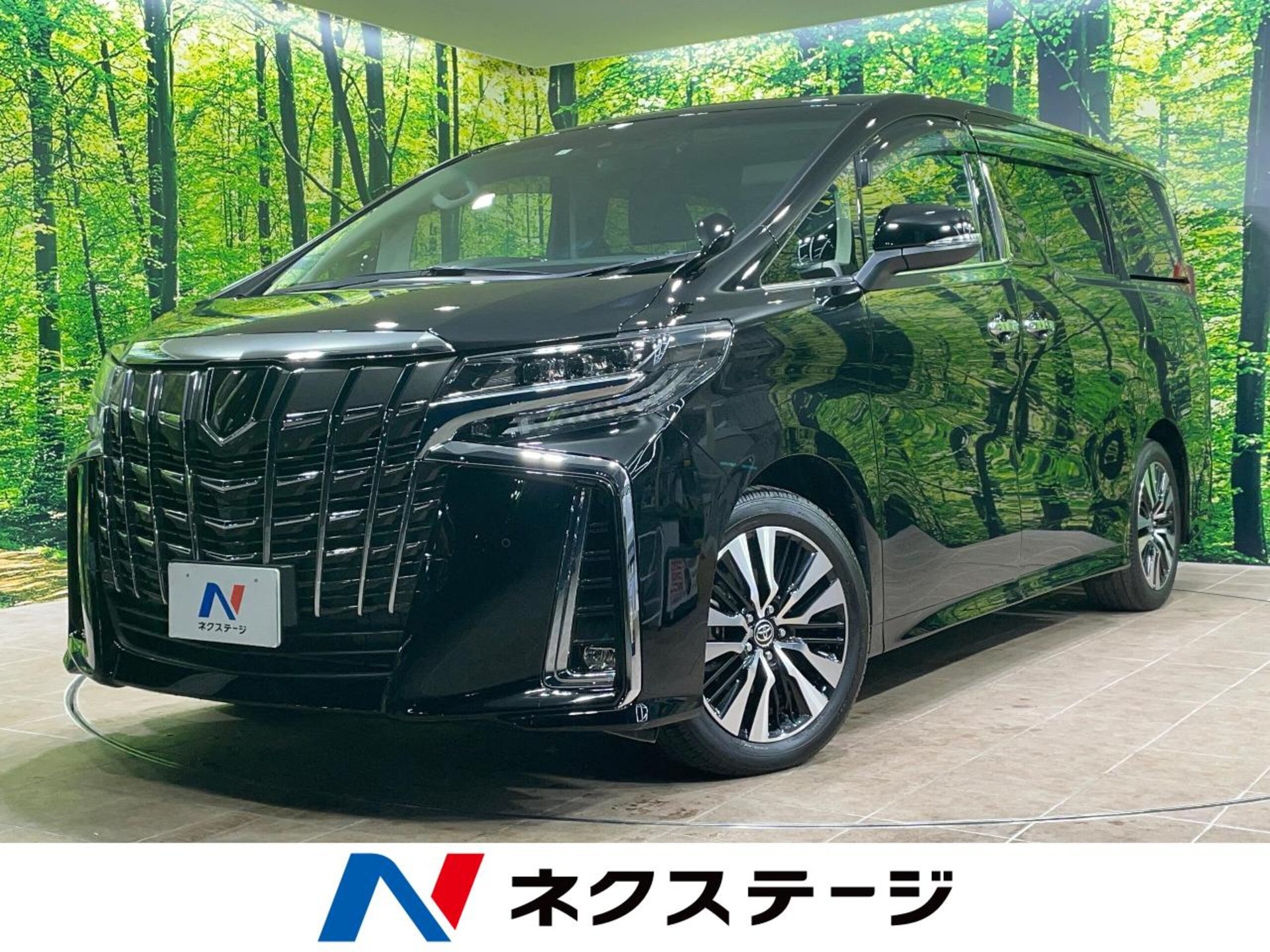 TOYOTA ALPHARD - View 1