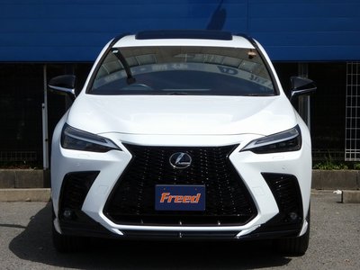 LEXUS NX - 4