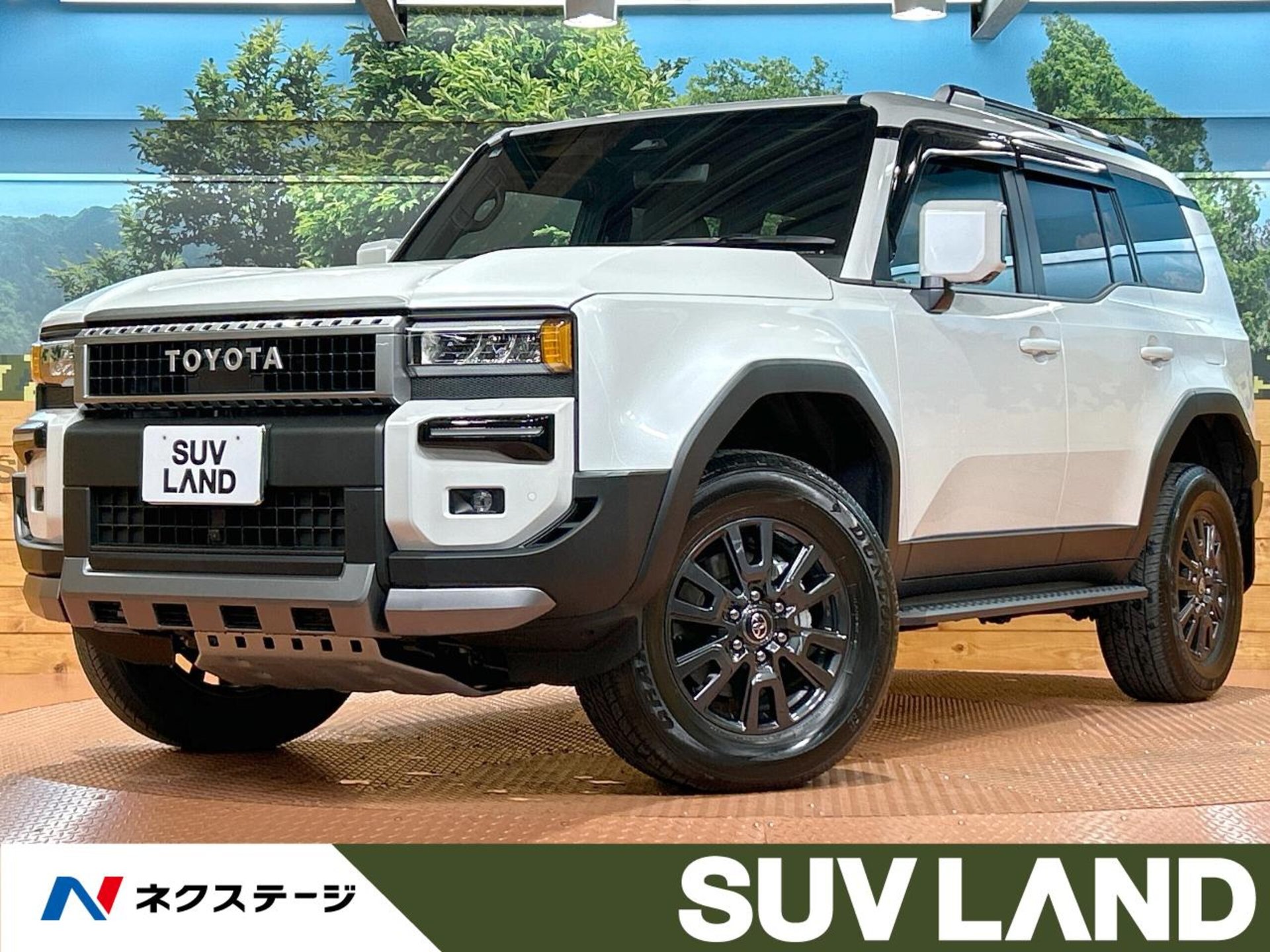 TOYOTA LAND CRUISER 250 - View 1