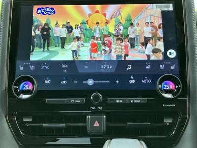 2025 TOYOTA ALPHARD 缩略图 33