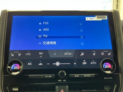 2025 TOYOTA ALPHARD 照片 10