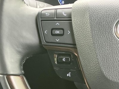 2025 TOYOTA ALPHARD 缩略图 31