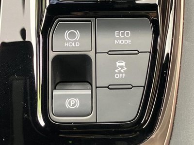 2025 TOYOTA ALPHARD 缩略图 30