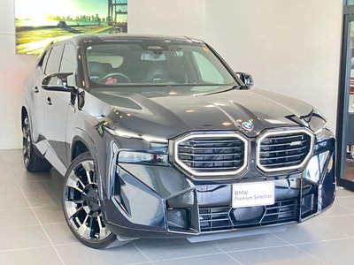 2023 BMW XM 缩略图 47
