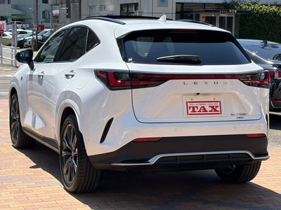 2023 Lexus NX 缩略图 15