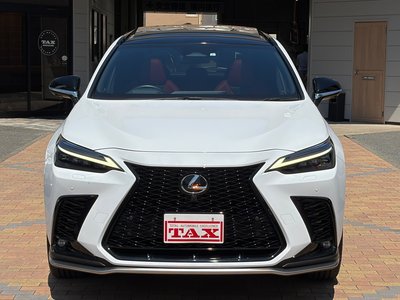 2023 Lexus NX 缩略图 13