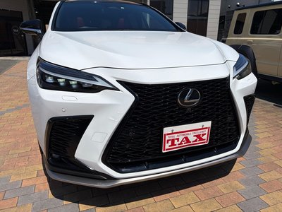 2023 Lexus NX 缩略图 19