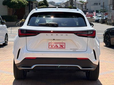 2023 Lexus NX 缩略图 16
