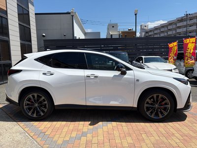 2023 Lexus NX 缩略图 17