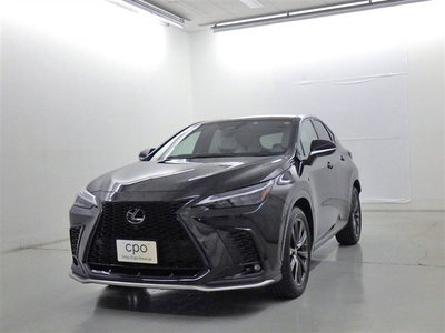 LEXUS NX - 1