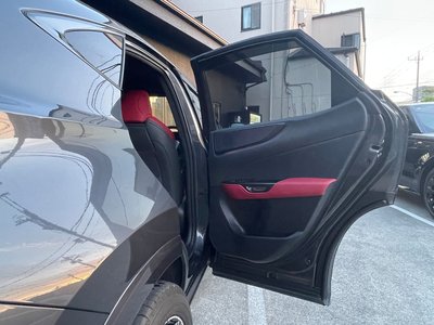صورة مصغرة 33 لـ 2022 Lexus NX