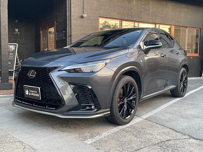 LEXUS NX - 4