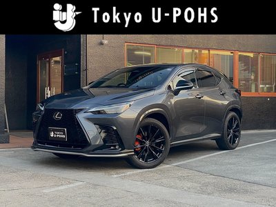 LEXUS NX - 1