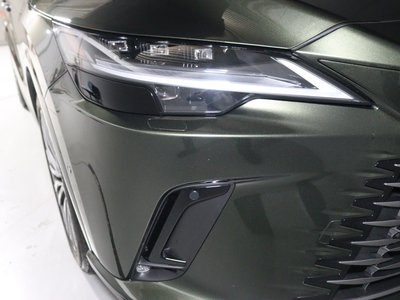 2024 Lexus RX thumbnail 15
