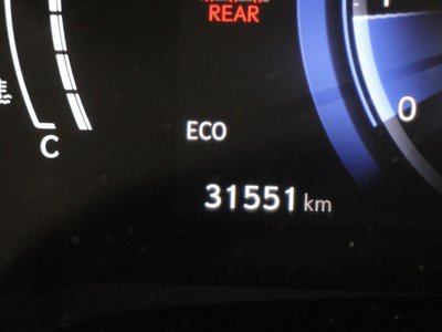 2024 Lexus RX thumbnail 24