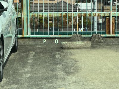 TOYOTA ALPHARD - 6