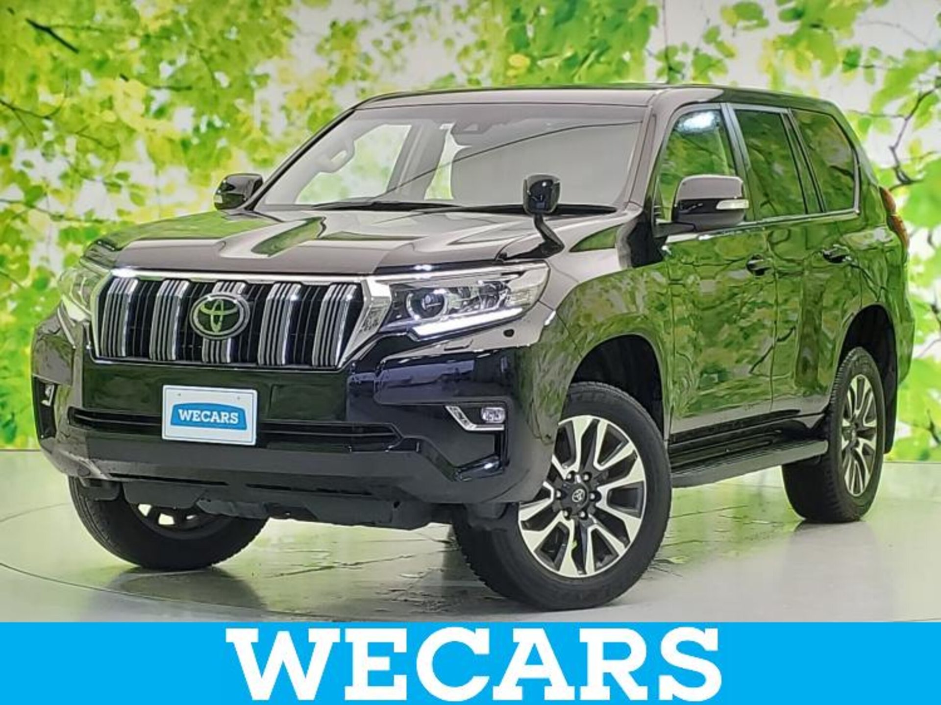 TOYOTA LAND CRUISER PRADO - View 1