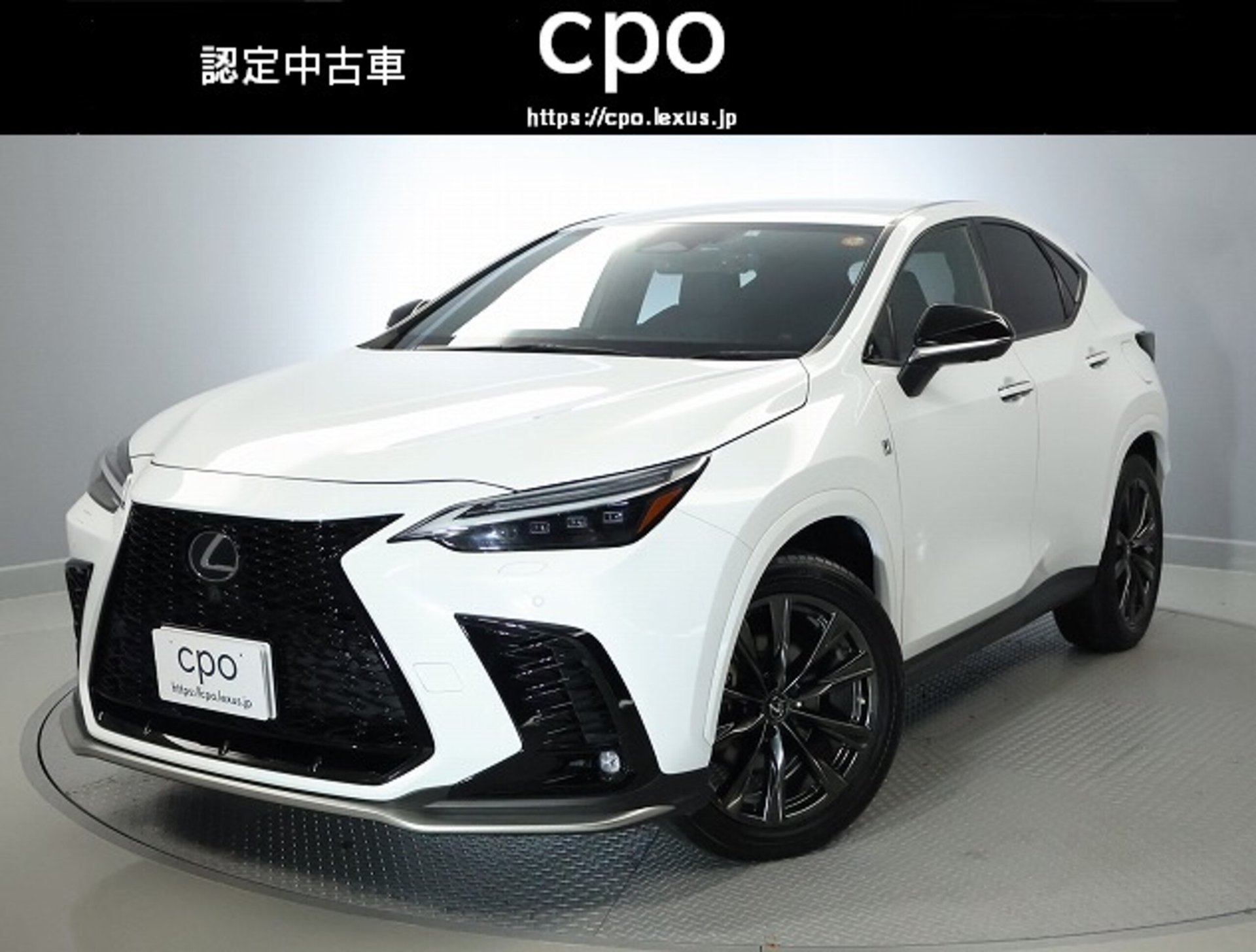 LEXUS NX - View 1