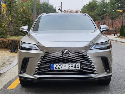 LEXUS RX - 1