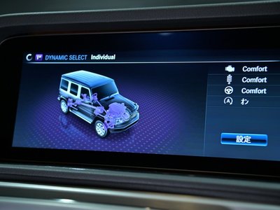 2020 Mercedes-BENZ G-CLASS — миниатюра 19
