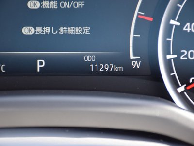 2024 Toyota LAND CRUISER 300 — миниатюра 57