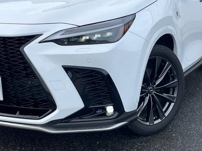 2023 Lexus NX 缩略图 13