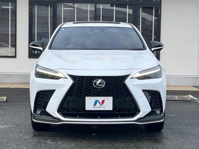 2023 Lexus NX 缩略图 15
