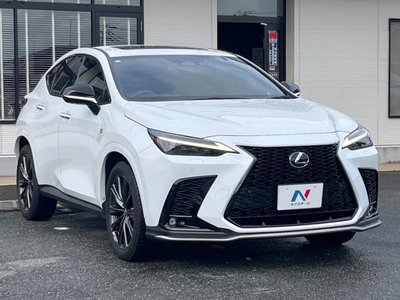 2023 Lexus NX 缩略图 17