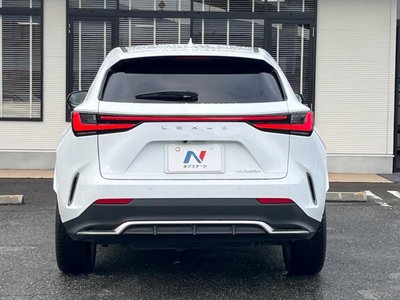 2023 Lexus NX 缩略图 16
