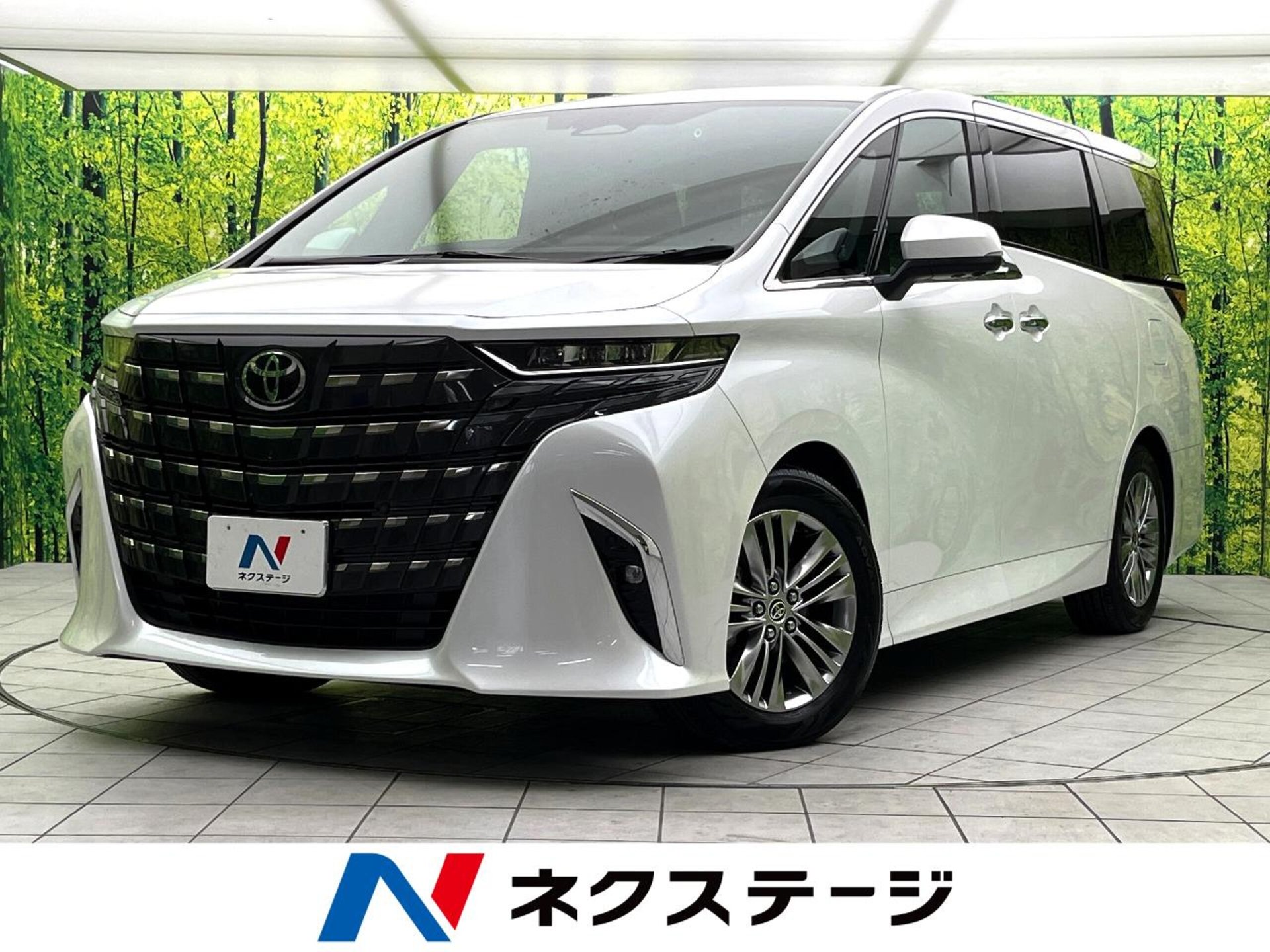 TOYOTA ALPHARD - View 1