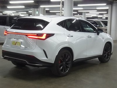 LEXUS NX - 6